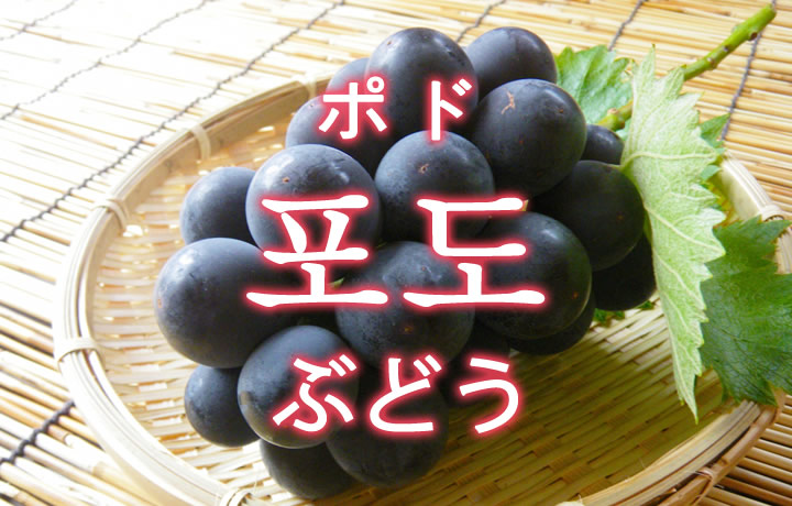 「ぶどう」を韓国語では？果物のブドウが好きです