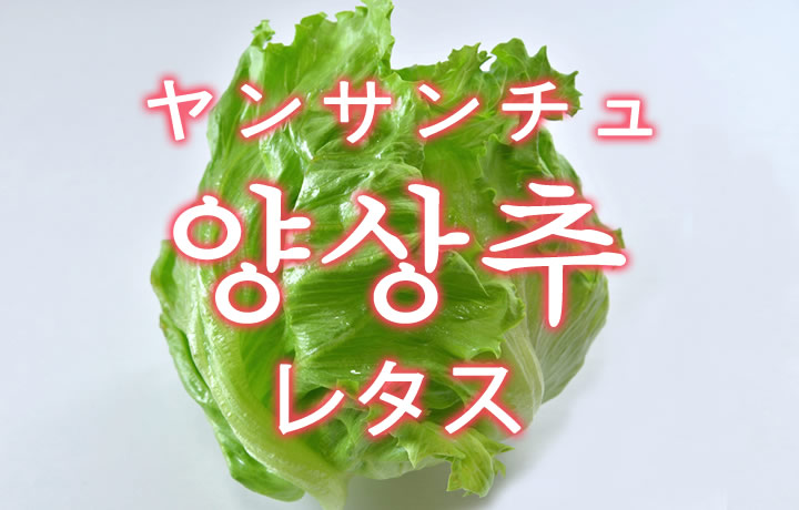 「レタス」を韓国語では？野菜のレタスが好きです