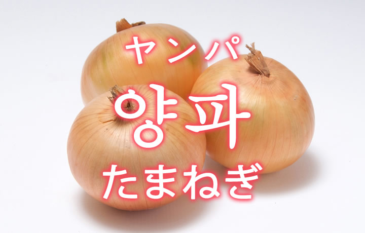「タマネギ」を韓国語では？野菜の玉葱（たまねぎ）が好きです