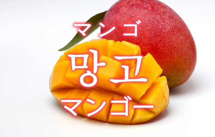 「マンゴー」を韓国語では？「망고（マンゴ）」の意味