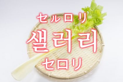 「セロリ」を韓国語では？「샐러리（セルロリ）」の意味