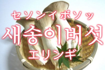 「エリンギ」を韓国語では？「새송이버섯（セソンイボソッ）」の意味