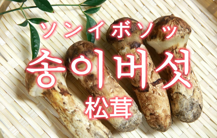 「松茸（まつたけ）」を韓国語では？「송이버섯（ソンイボソッ）」の意味