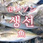 「魚（さかな）」を韓国語では？魚類の単語一覧