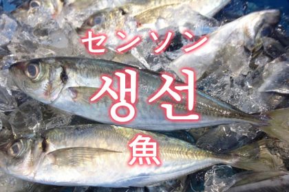 「魚（さかな）」を韓国語では？魚類の単語一覧