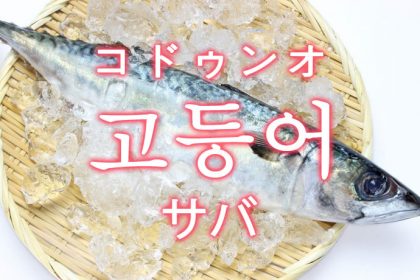「サバ（鯖）」を韓国語では？「고등어（コドゥンオ）」の意味