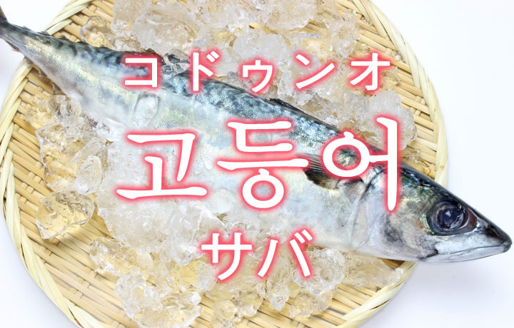 「サバ（鯖）」を韓国語では？「고등어（コドゥンオ）」の意味