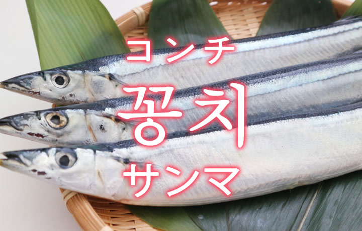 「サンマ（秋刀魚）」を韓国語では？「꽁치（コンチ）」の意味