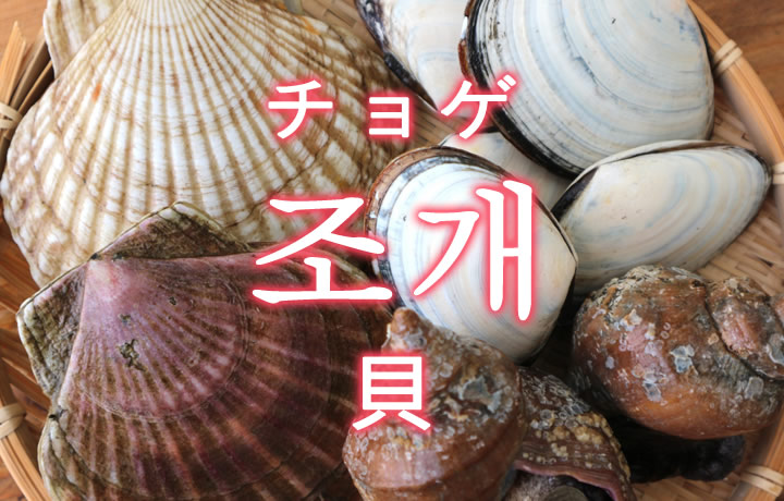 「貝（かい）」を韓国語では？貝類の単語一覧