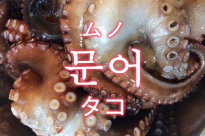 「タコ（蛸）」を韓国語では？「문어（ムノ）」の意味