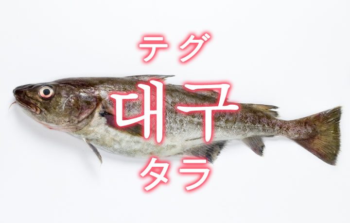 「タラ（鱈）」を韓国語では？「대구（テグ）」の意味