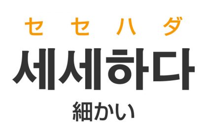 「細かい（こまかい）」を韓国語では？「세세하다（セセハダ）」の意味・使い方